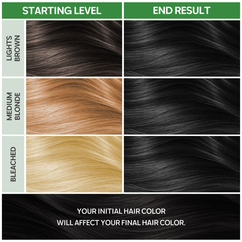 Permanent Hair Colour Natural Black 1.0 (170ml)