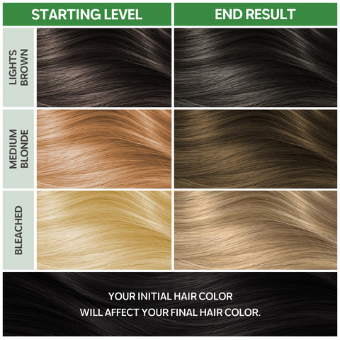 Permanent Hair Colour Ash Blonde 8.0 (170ml)