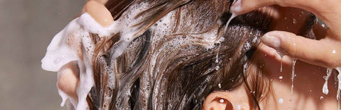 Nurture Your Scalp, Revive Your Hair